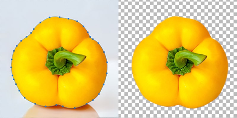 Best clipping path service